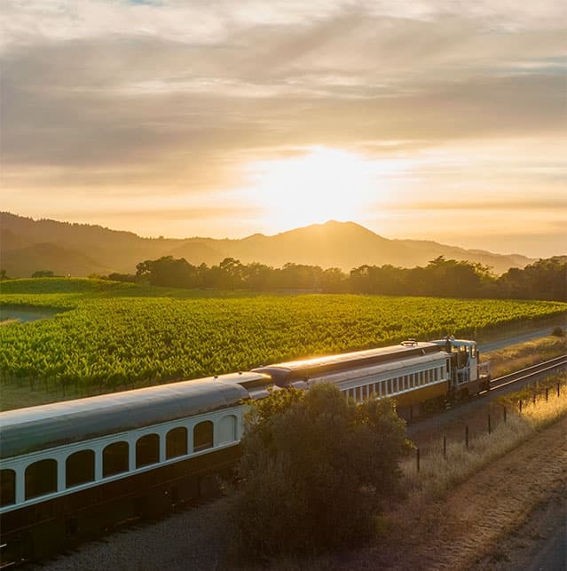 The Napa Valley Wine Train on the tracks next to the fields during sunrise