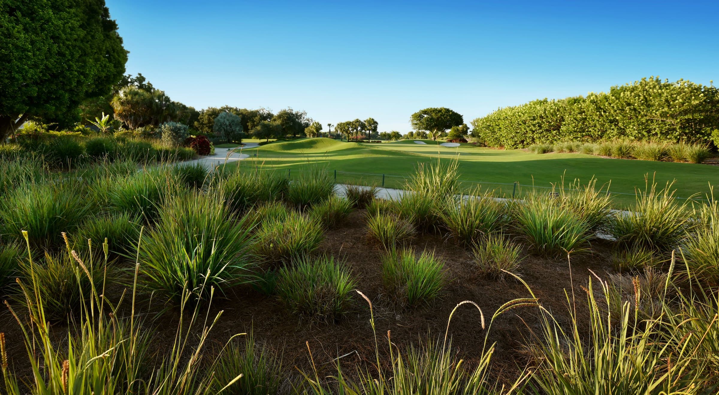 A beautiful green golf course at a Noble House Hotels & Resorts property