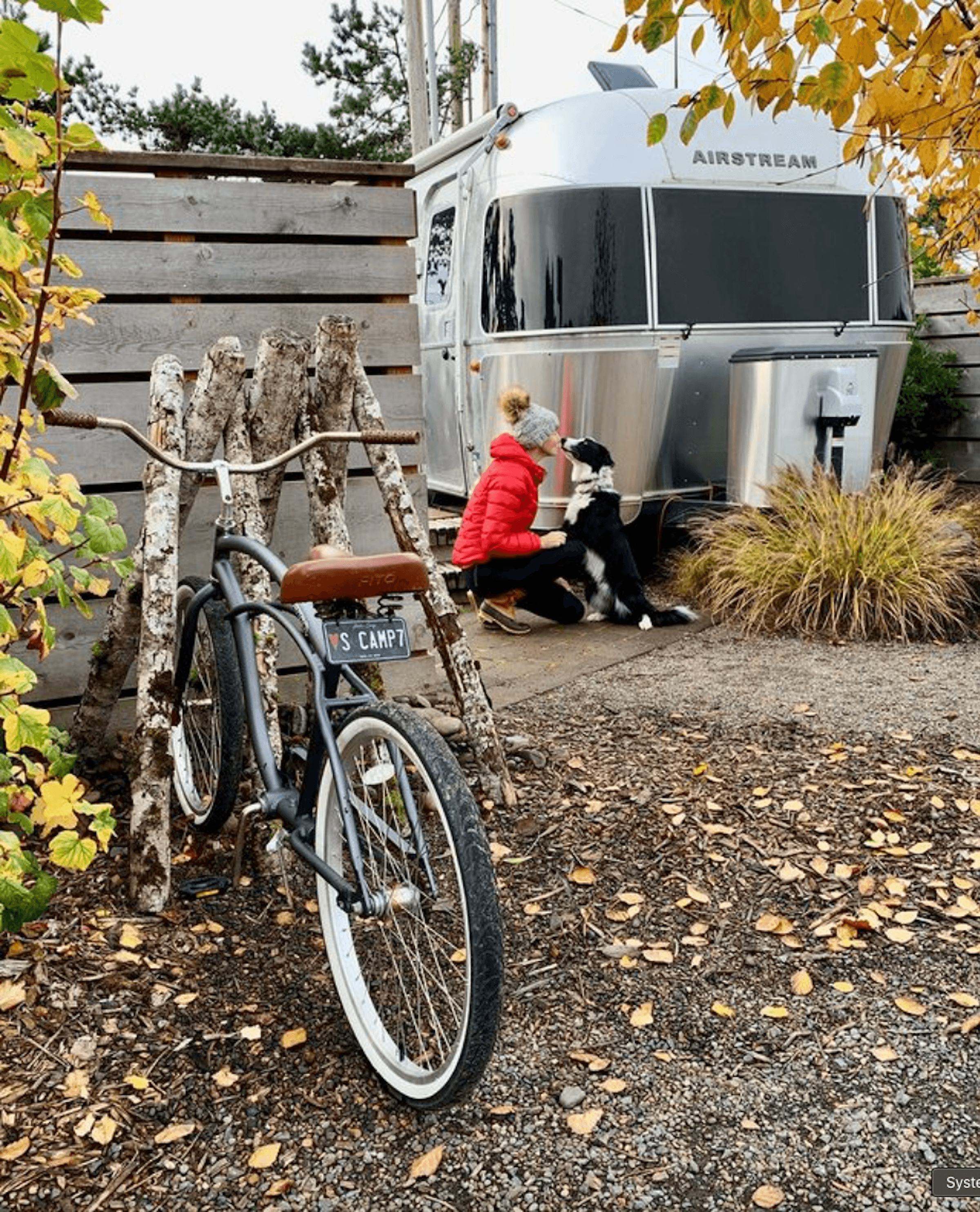 A bicycle parked out front of an airstream trailer and a dog and its owner kissing each other
